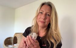 Bei Caro Schweizer haben zwei Streuer-Katzen ein Zuhause auf Zeit gefunden - und einen Ort, an dem sie ihre Babys in Sicherheit 